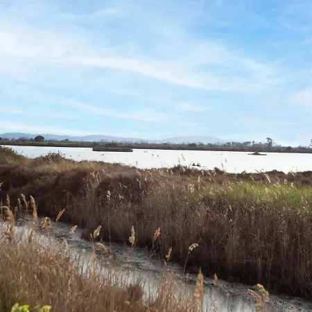 Lejlighed L'amiraute By Interhome Hyères