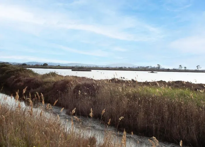 Lejlighed L'amiraute By Interhome Hyères